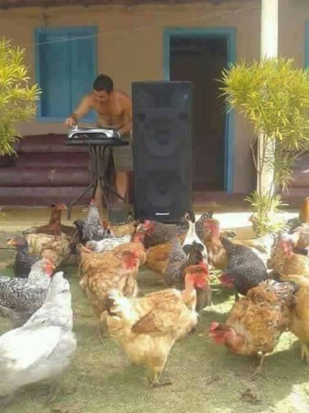 daily picdump 101 pics 33.html - 101 HD Photos | Premium Gallery 2017