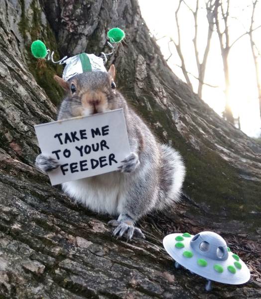 daily picdump 101 pics 33.html - 101 HD Photos | Premium Gallery 2017