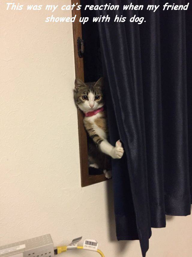 daily picdump 101 pics 33.html - 101 HD Photos | Premium Gallery 2017