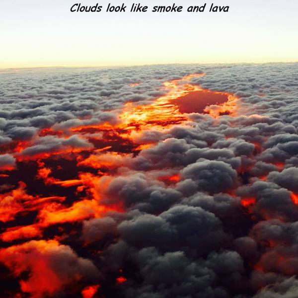 daily picdump 102 pics 9.html - 102 HD Photos | Premium Gallery 2017