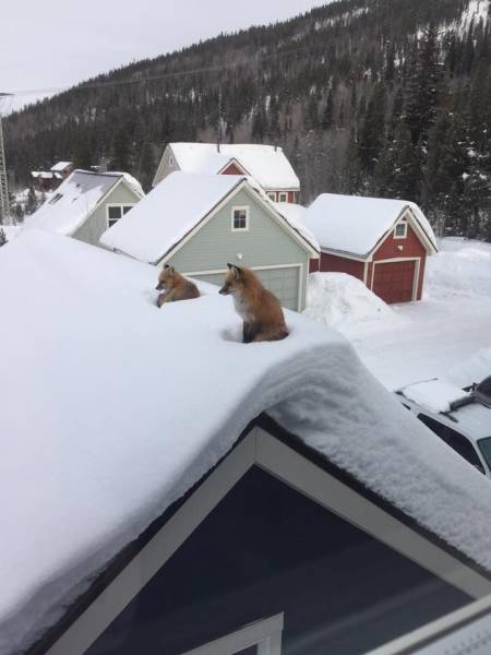 daily picdump 102 pics 9.html - 102 HD Photos | Premium Gallery 2017