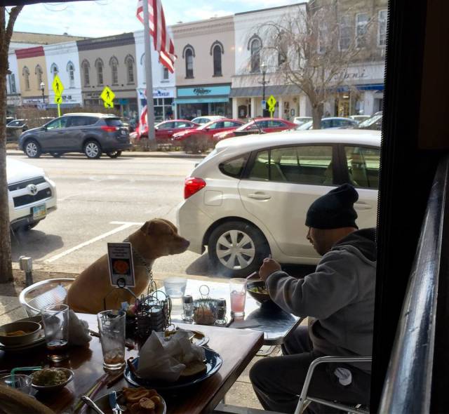 daily picdump 102 pics 9.html - 102 HD Photos | Premium Gallery 2017