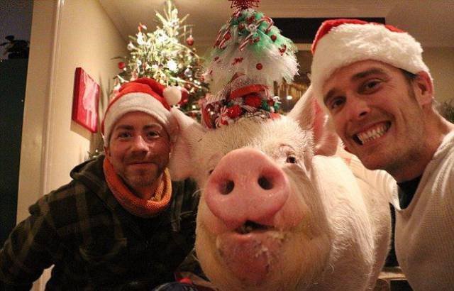 daily picdump 102 pics 9.html - 102 HD Photos | Premium Gallery 2017