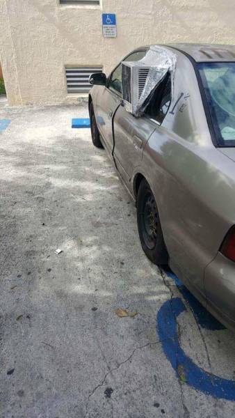 daily picdump 102 pics 9.html - 102 HD Photos | Premium Gallery 2017