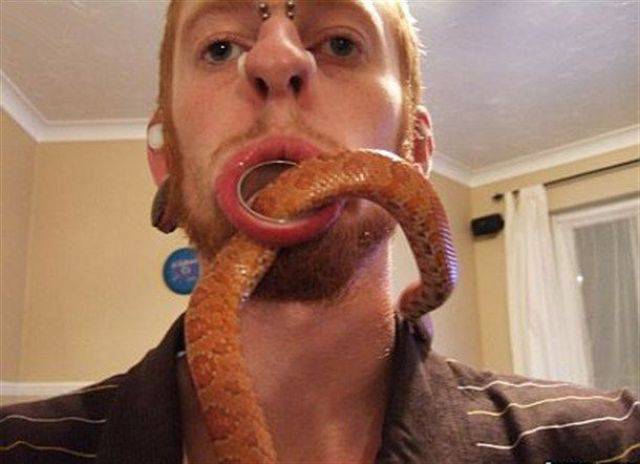 daily picdump 102 pics 9.html - 102 HD Photos | Premium Gallery 2017