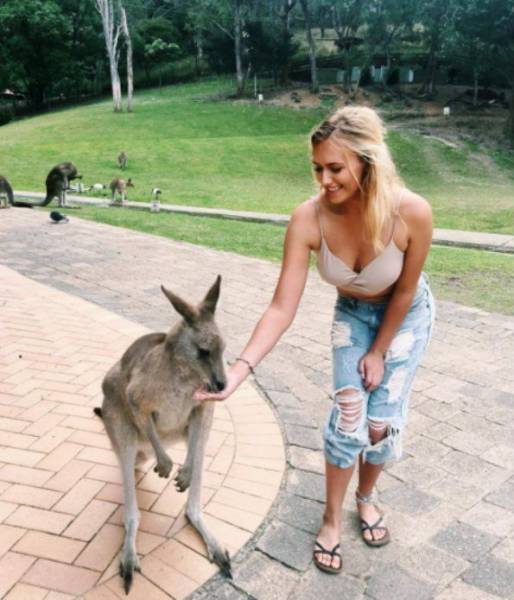 daily picdump 102 pics 9.html - 102 HD Photos | Premium Gallery 2017