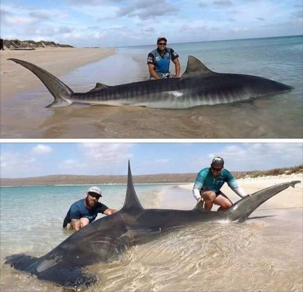 daily picdump 102 pics 9.html - 102 HD Photos | Premium Gallery 2017