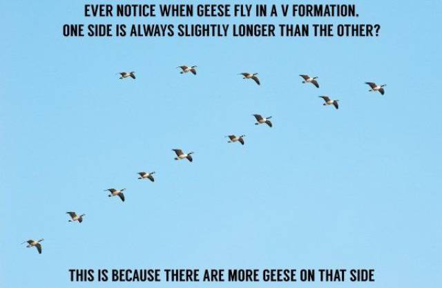 daily picdump 102 pics 9.html - 102 HD Photos | Premium Gallery 2017