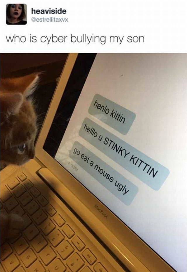 daily picdump 102 pics 9.html - 102 HD Photos | Premium Gallery 2017