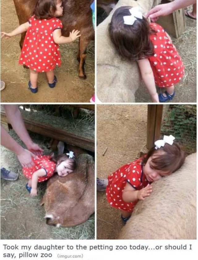 daily picdump 102 pics 9.html - 102 HD Photos | Premium Gallery 2017