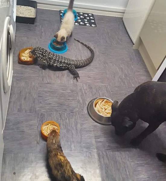 morning picdump 51 pics 9.html - 51 HD Photos | Premium Gallery 2017