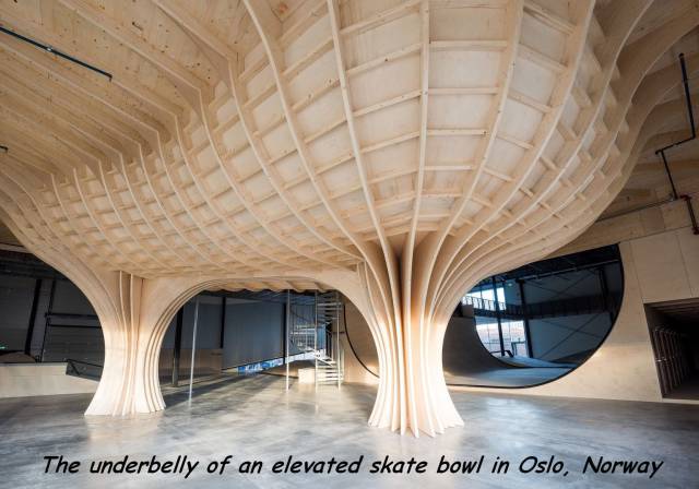 daily picdump 97 pics 29.html - 97 HD Photos | Premium Gallery 2017