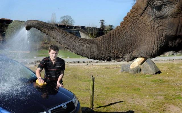 daily picdump 97 pics 29.html - 97 HD Photos | Premium Gallery 2017