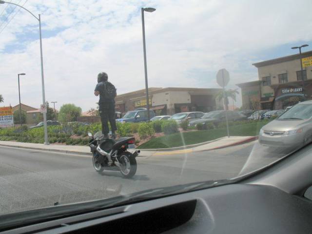 daily picdump 97 pics 29.html - 97 HD Photos | Premium Gallery 2017