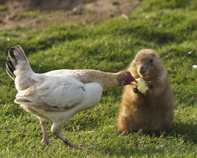 daily picdump 97 pics 29.html - 97 HD Photos | Premium Gallery 2017