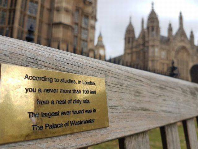 daily picdump 97 pics 29.html - 97 HD Photos | Premium Gallery 2017