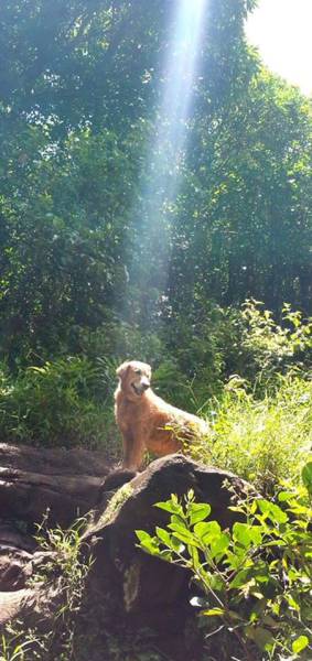 morning picdump 51 pics 9.html - 51 HD Photos | Premium Gallery 2017