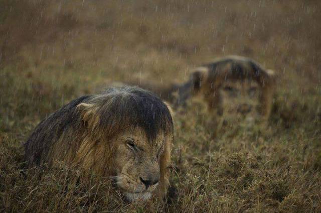 morning picdump 51 pics 9.html - 51 HD Photos | Premium Gallery 2017