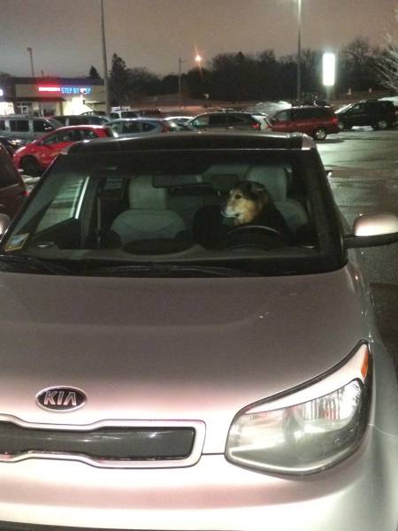 morning picdump 51 pics 9.html - 51 HD Photos | Premium Gallery 2017