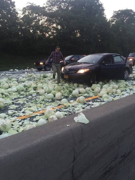 daily picdump 103 pics 32.html - 103 HD Photos | Premium Gallery 2017