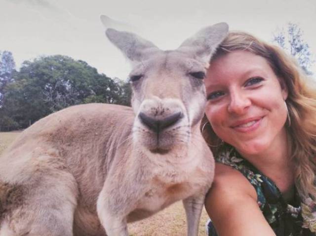 daily picdump 103 pics 32.html - 103 HD Photos | Premium Gallery 2017