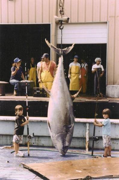 daily picdump 103 pics 32.html - 103 HD Photos | Premium Gallery 2017