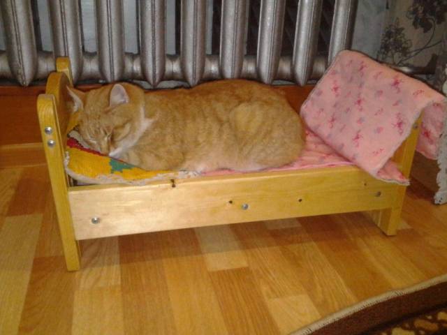 daily picdump 103 pics 32.html - 103 HD Photos | Premium Gallery 2017