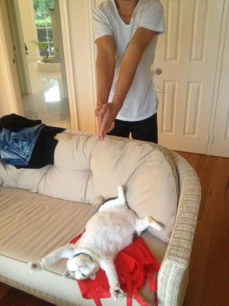 daily picdump 103 pics 32.html - 103 HD Photos | Premium Gallery 2017