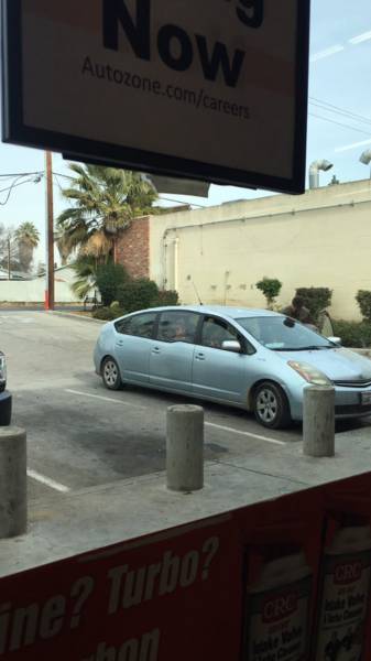 morning picdump 54 pics 2.html - 54 HD Photos | Premium Gallery 2017