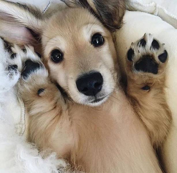 morning picdump 54 pics 2.html - 54 HD Photos | Premium Gallery 2017