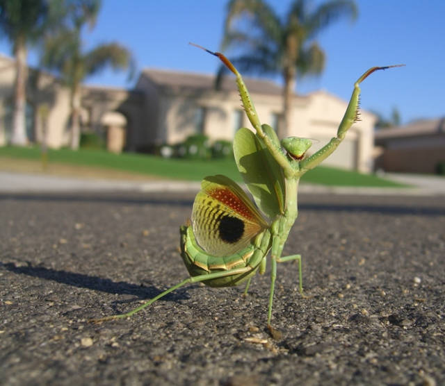 morning picdump 54 pics 2.html - 54 HD Photos | Premium Gallery 2017