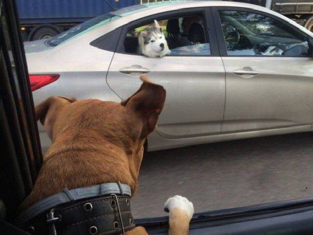 daily picdump 98 pics 28.html - 98 HD Photos | Premium Gallery 2017