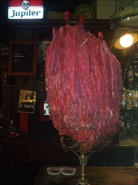 daily picdump 98 pics 28.html - 98 HD Photos | Premium Gallery 2017