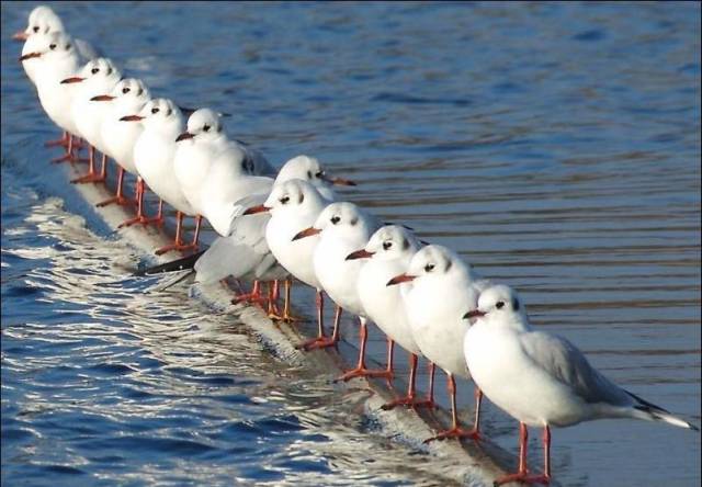 daily picdump 98 pics 28.html - 98 HD Photos | Premium Gallery 2017