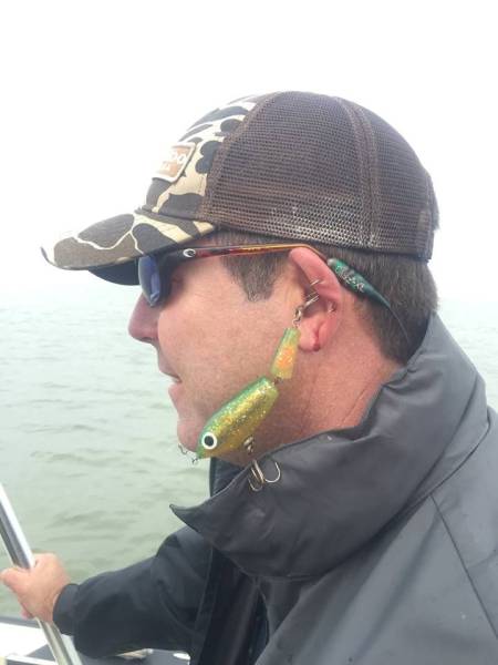 daily picdump 98 pics 28.html - 98 HD Photos | Premium Gallery 2017