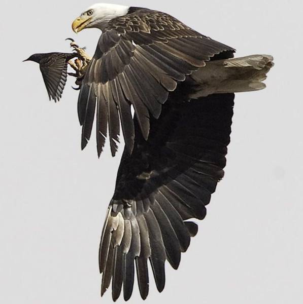 daily picdump 98 pics 28.html - 98 HD Photos | Premium Gallery 2017