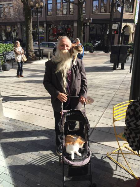 daily picdump 98 pics 28.html - 98 HD Photos | Premium Gallery 2017