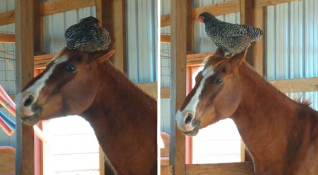 morning picdump 51 pics 9.html - 51 HD Photos | Premium Gallery 2017