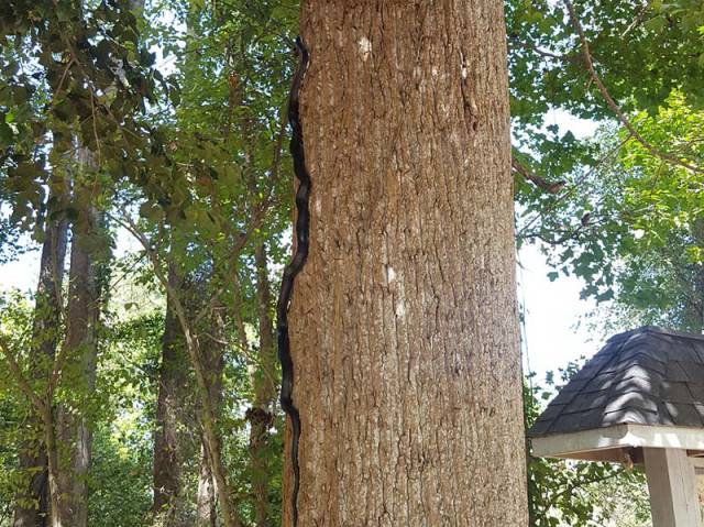 morning picdump 51 pics 9.html - 51 HD Photos | Premium Gallery 2017